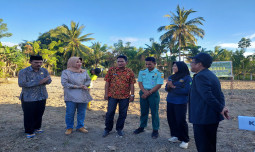 Genjot PAT, Kementan Lakukan Tanam Padi Gogo di Boalemo 
