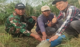 Petani Banyumas Merasakan Manfaat Program Pompanisasi Kementan